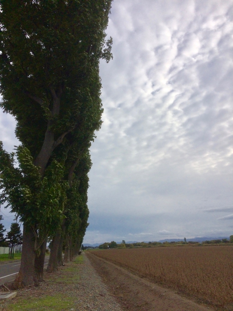 f:id:besmart-chari:20171007220023j:plain