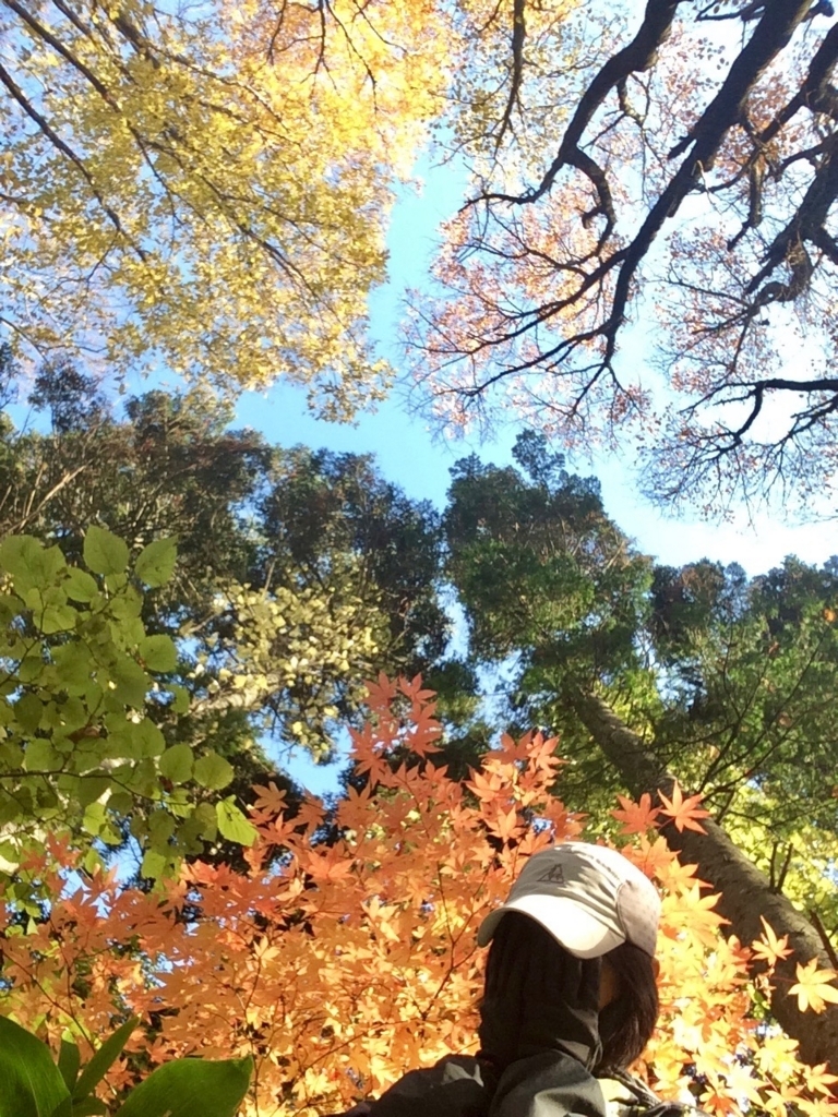 f:id:besmart-chari:20171031004234j:plain f:id:besmart-chari:20171031004234j:plain