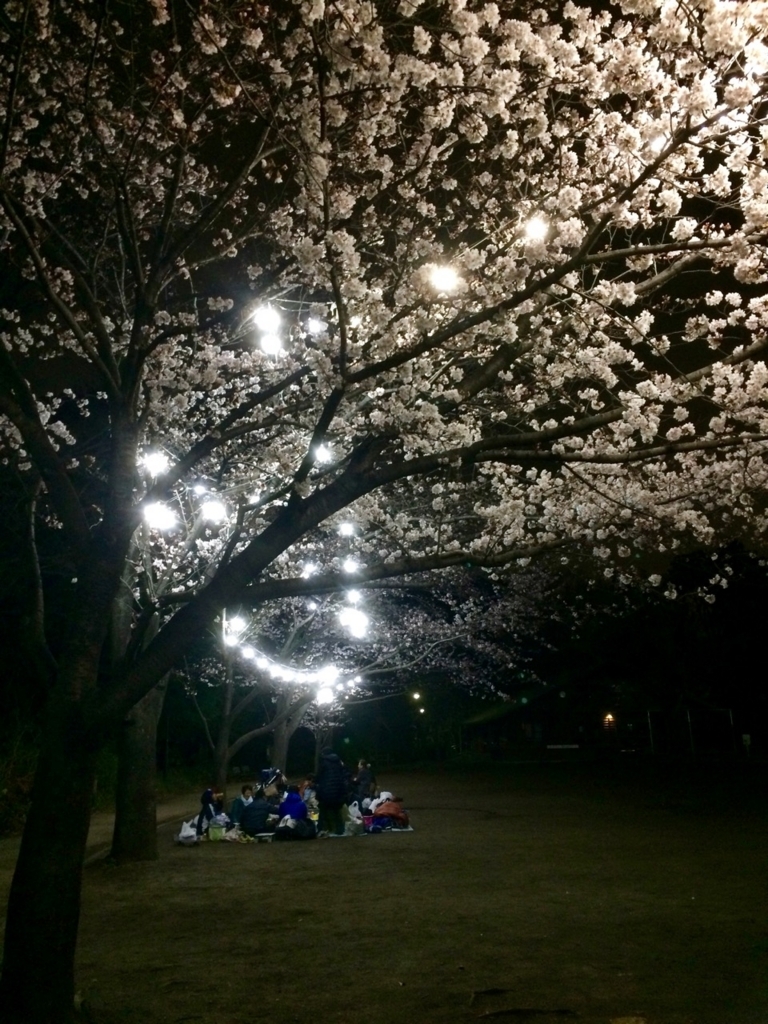 f:id:besmart-chari:20180327233629j:plain