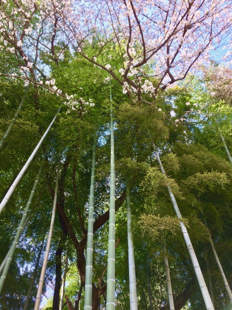 f:id:besmart-chari:20180327233641j:plain