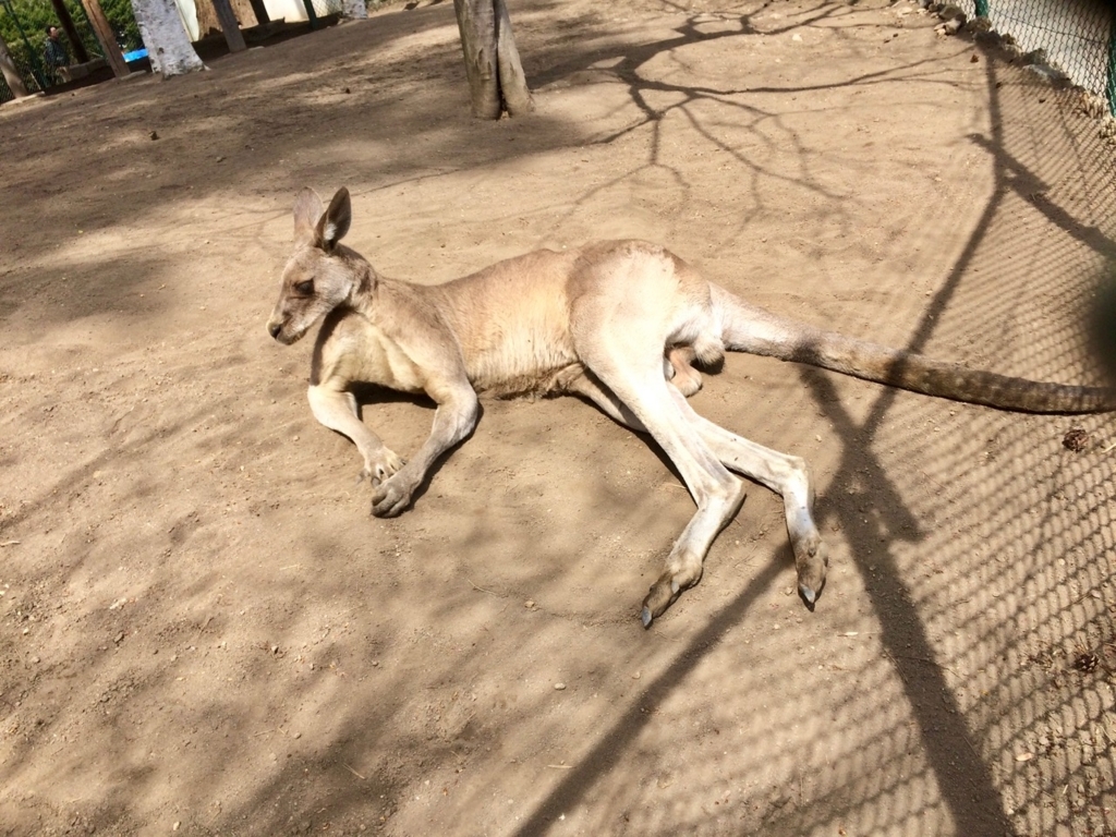 f:id:besmart-chari:20180501231643j:plain