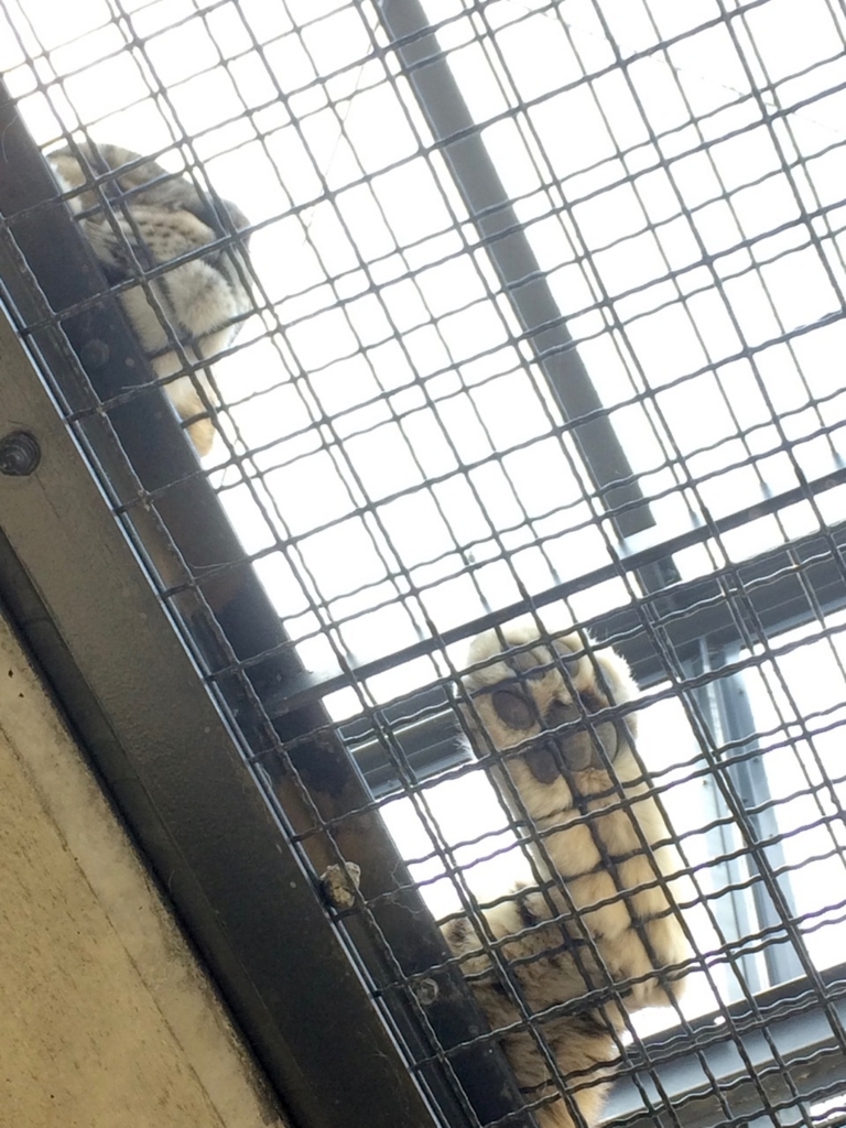f:id:besmart-chari:20180501231740j:plain