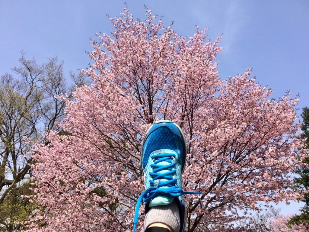 f:id:besmart-chari:20180501233036j:plain
