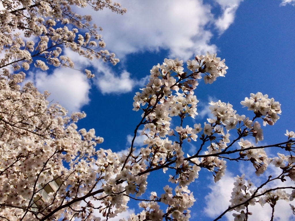 f:id:besmart-chari:20180504222040j:plain