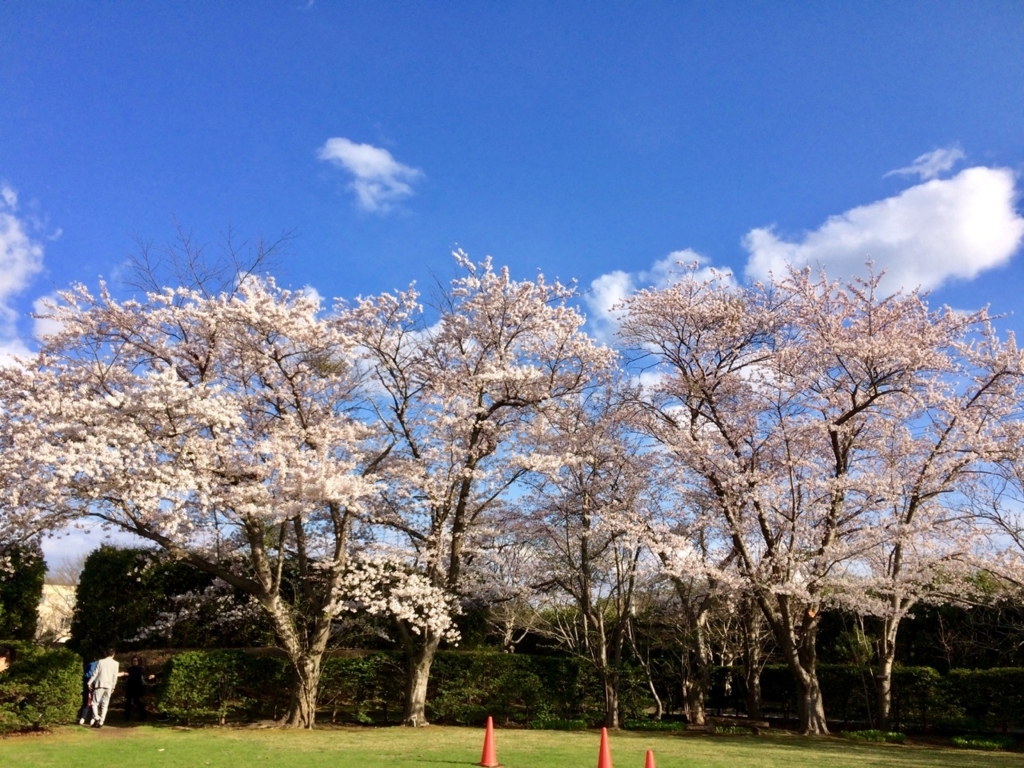 f:id:besmart-chari:20180504222046j:plain