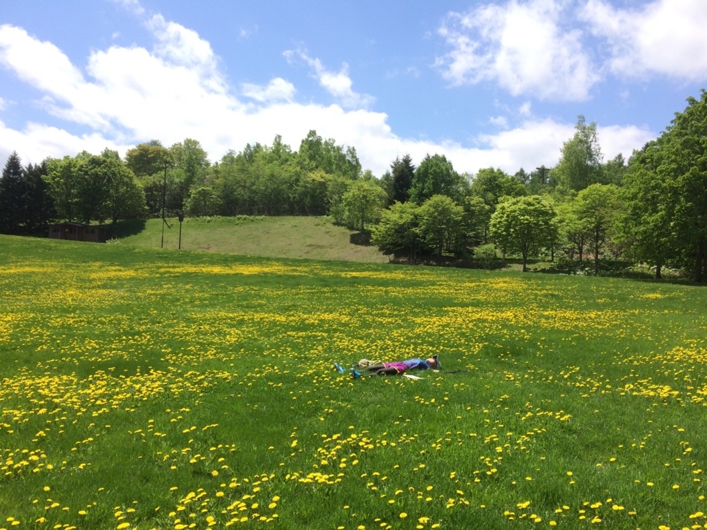 f:id:besmart-chari:20180526225736j:plain