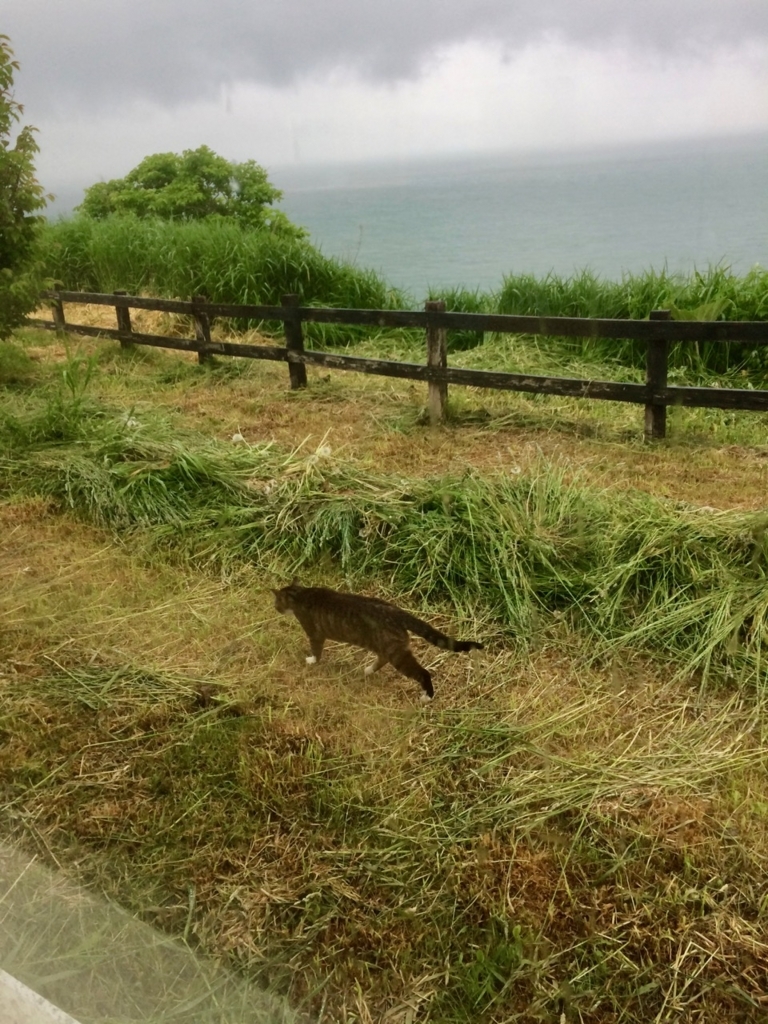 f:id:besmart-chari:20180610231518j:plain f:id:besmart-chari:20180610231518j:plain