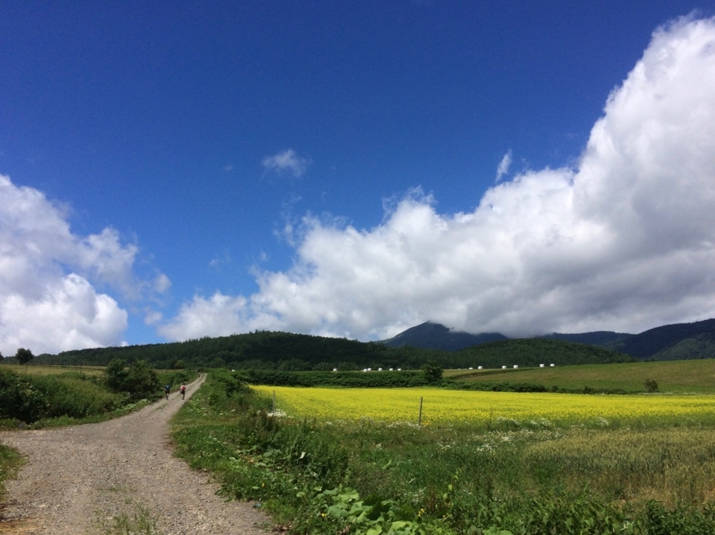 f:id:besmart-chari:20180722212203j:plain f:id:besmart-chari:20180722212203j:plain