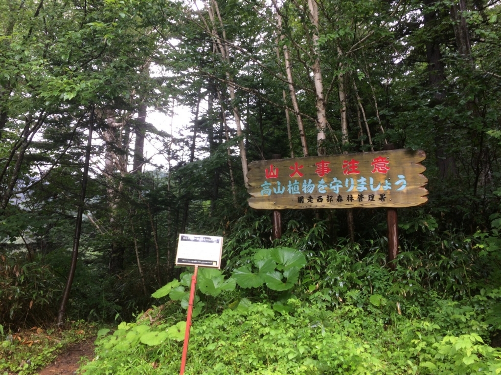 f:id:besmart-chari:20180725002136j:plain