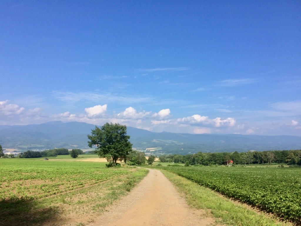 f:id:besmart-chari:20180805214608j:plain