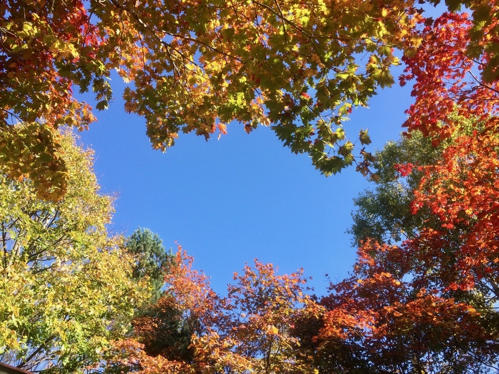 f:id:besmart-chari:20181019212121j:plain
