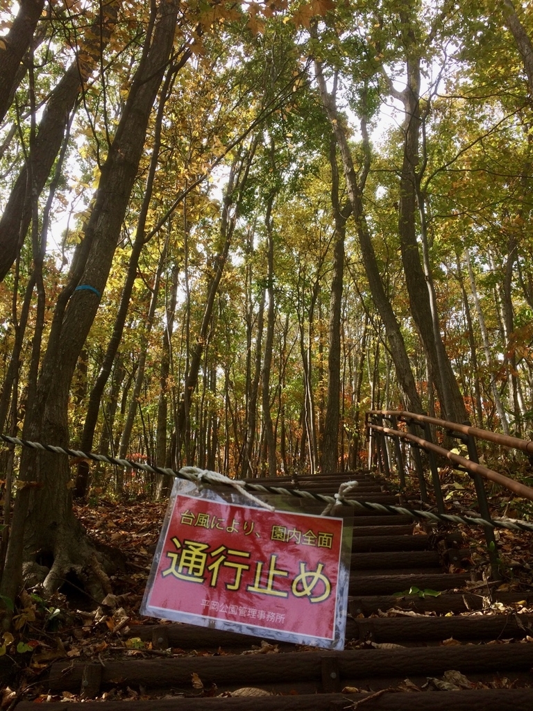 f:id:besmart-chari:20181023204935j:plain