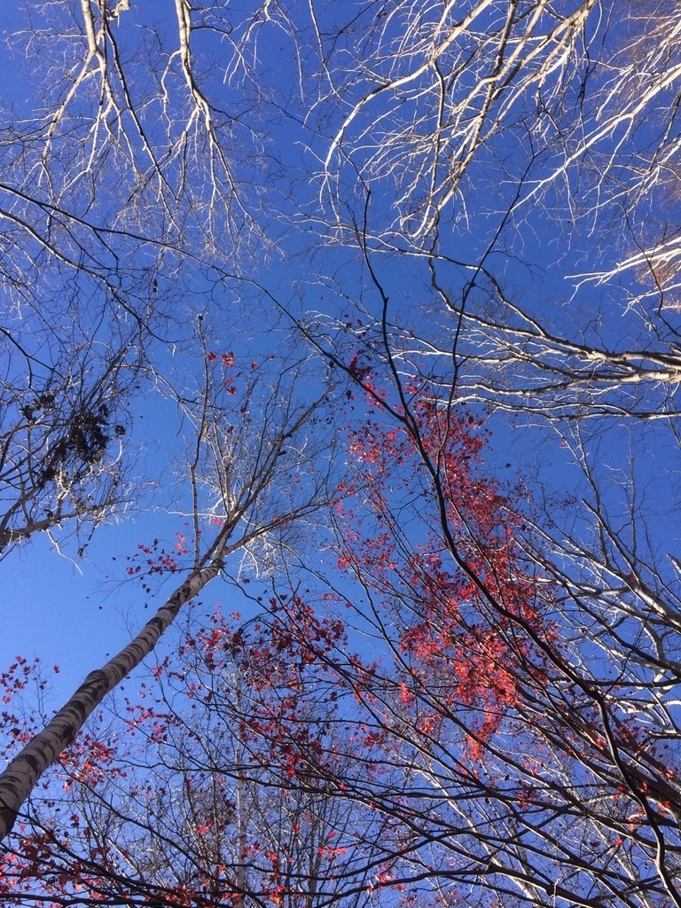 f:id:besmart-chari:20181104220948j:plain