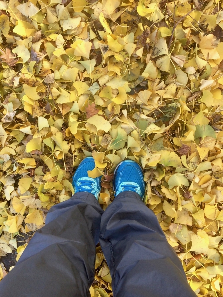 f:id:besmart-chari:20181112204504j:plain