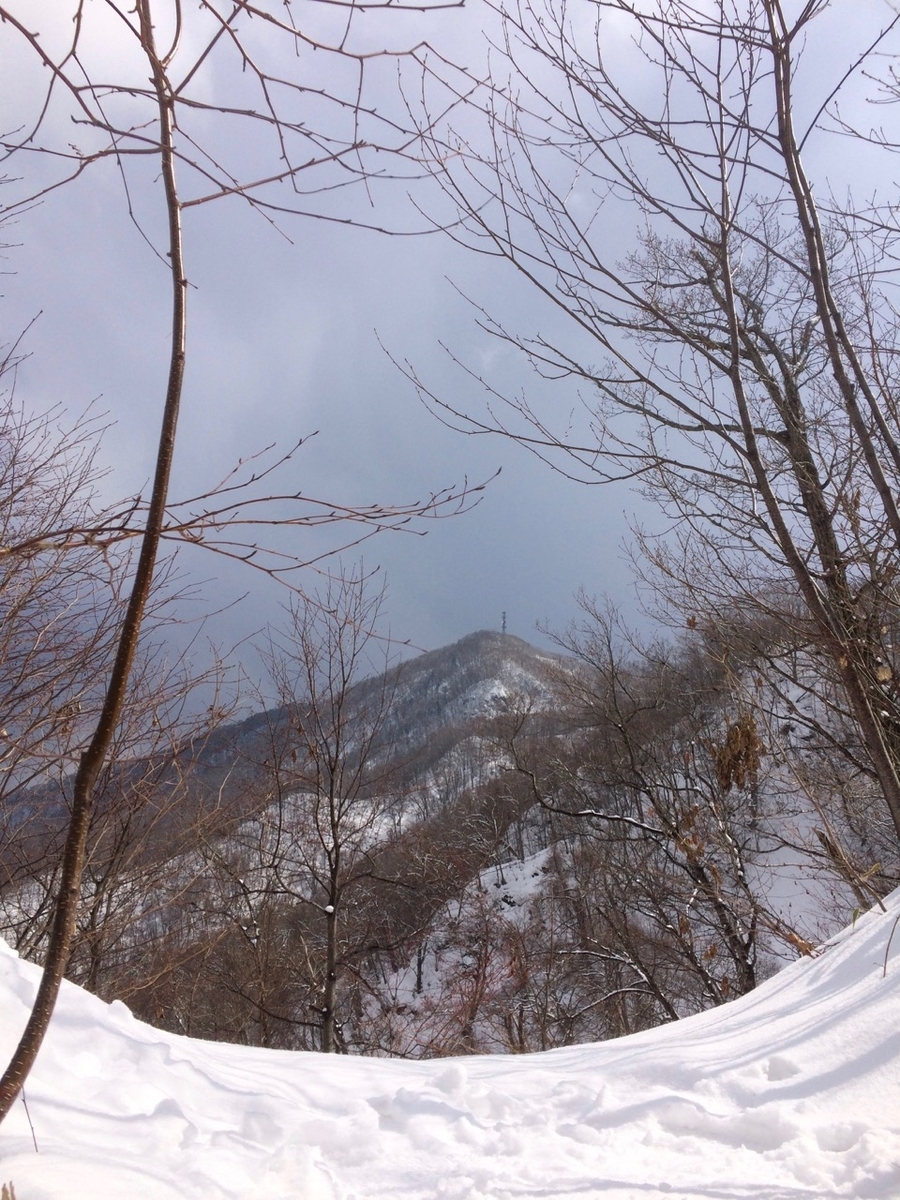 f:id:besmart-chari:20190317231427j:plain f:id:besmart-chari:20190317231427j:plain