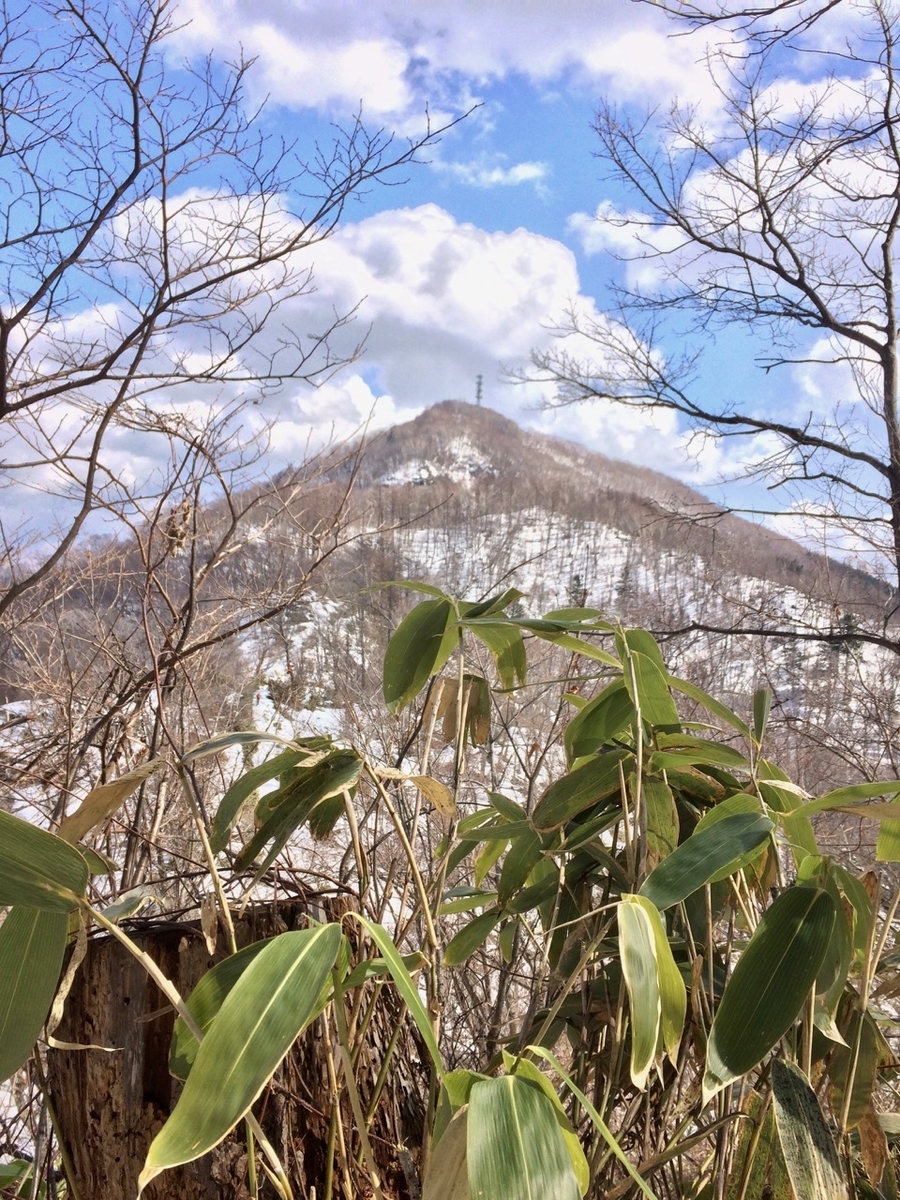 f:id:besmart-chari:20190406232911j:plain f:id:besmart-chari:20190406232911j:plain