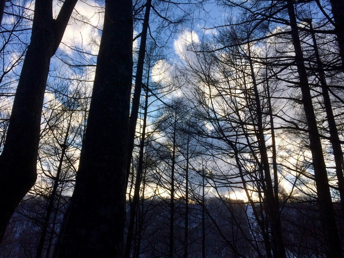 f:id:besmart-chari:20190406232937j:plain f:id:besmart-chari:20190406232937j:plain