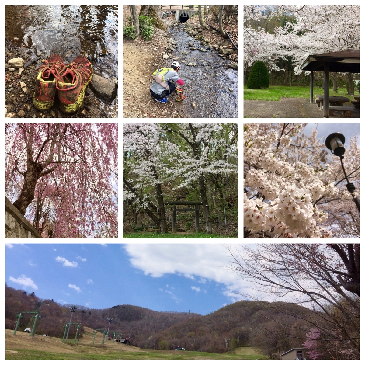 f:id:besmart-chari:20190503213621j:plain f:id:besmart-chari:20190503213621j:plain