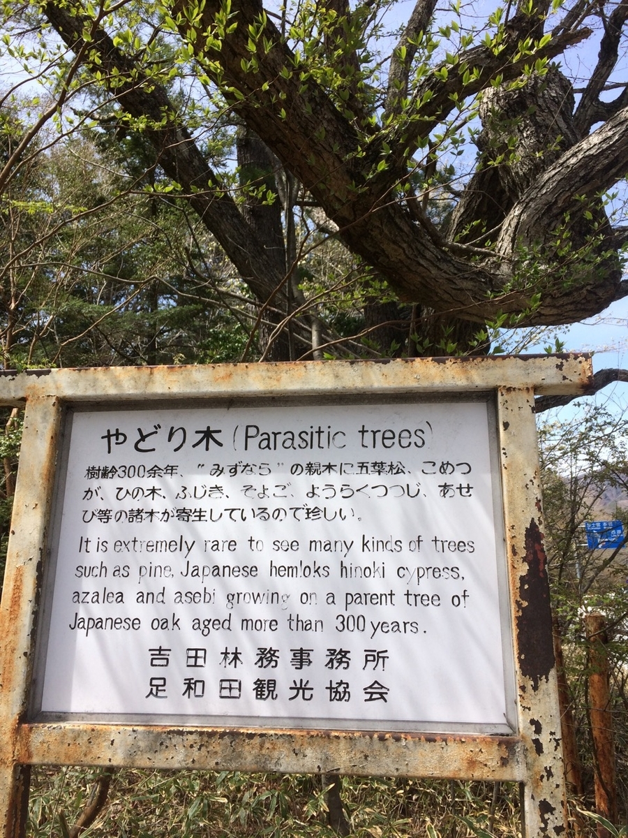 f:id:besmart-chari:20190512225545j:plain f:id:besmart-chari:20190512225545j:plain