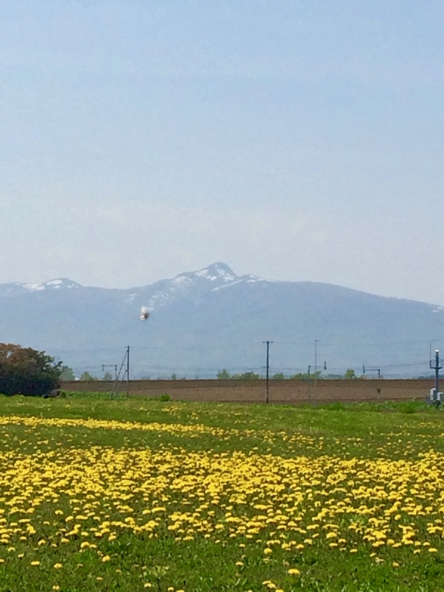 f:id:besmart-chari:20190520234136j:plain f:id:besmart-chari:20190520234136j:plain