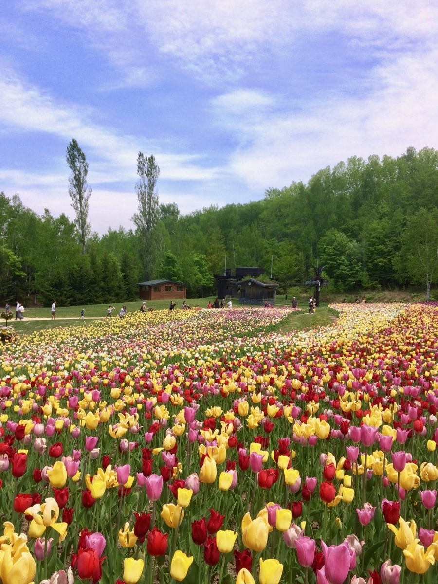 f:id:besmart-chari:20190526231834j:plain