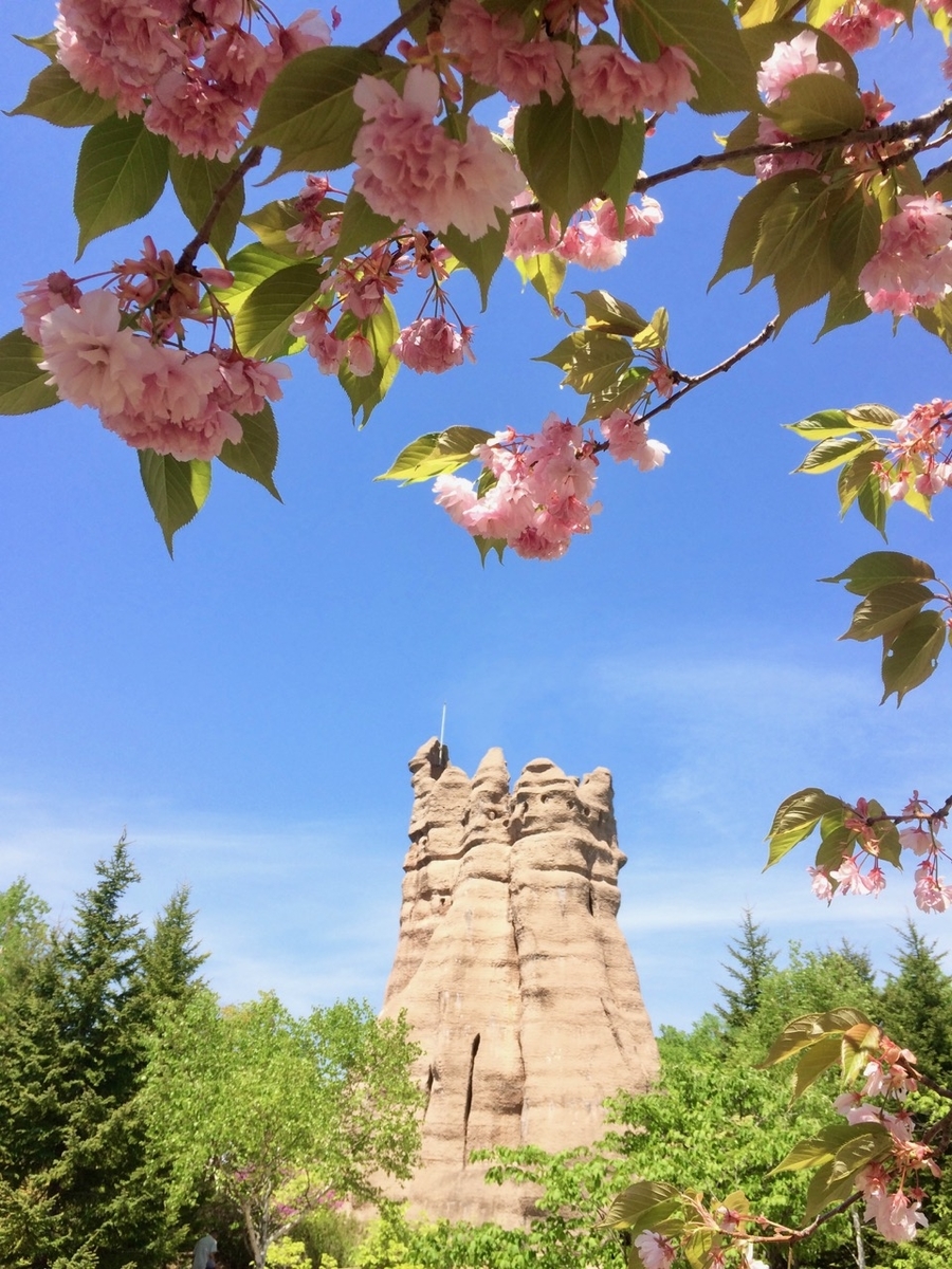f:id:besmart-chari:20190526231930j:plain
