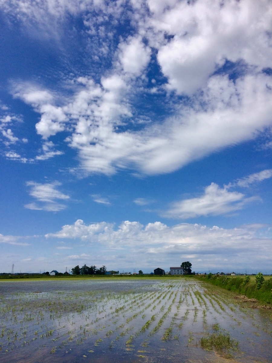 f:id:besmart-chari:20190619233012j:plain