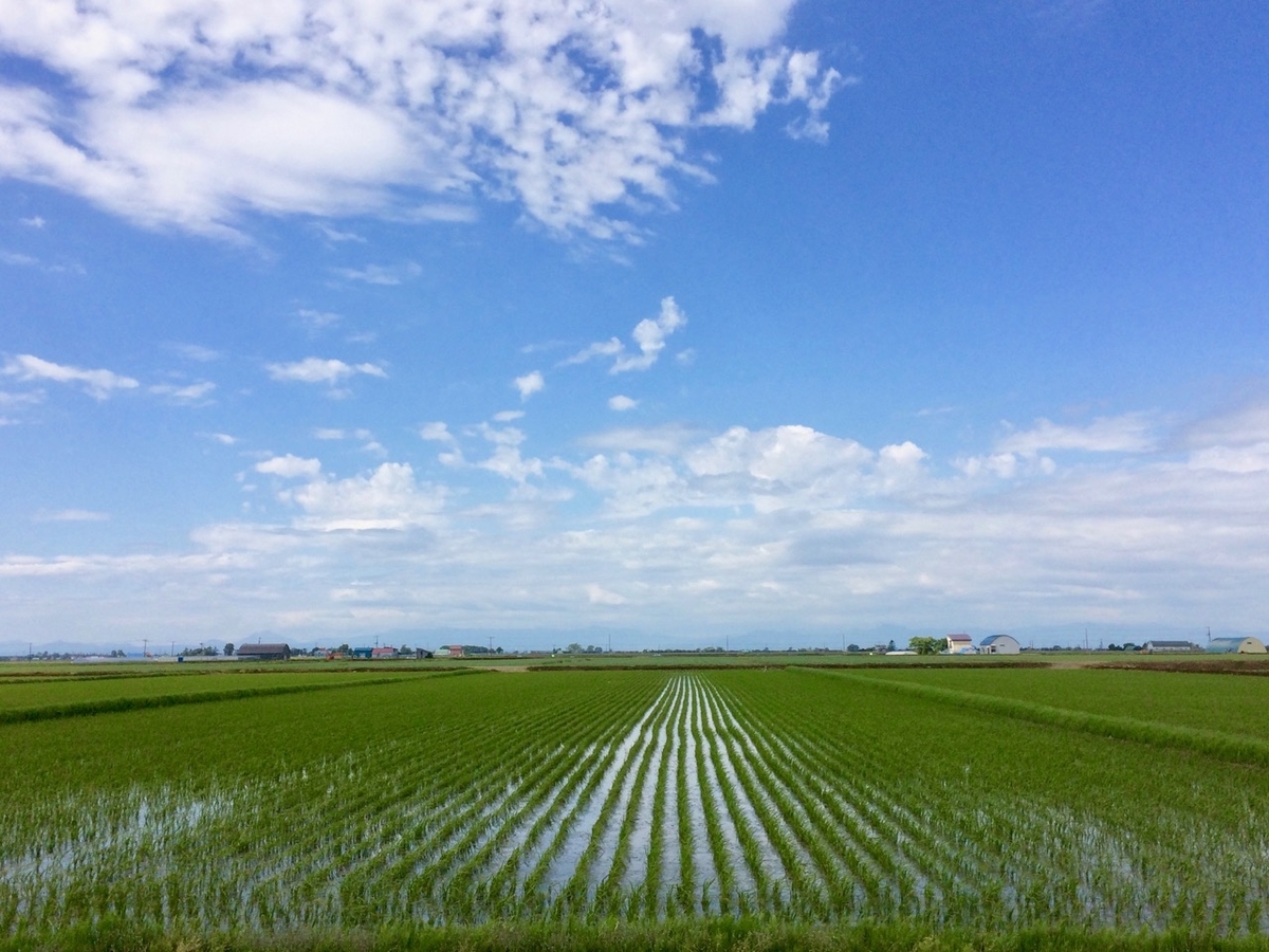 f:id:besmart-chari:20190619233037j:plain