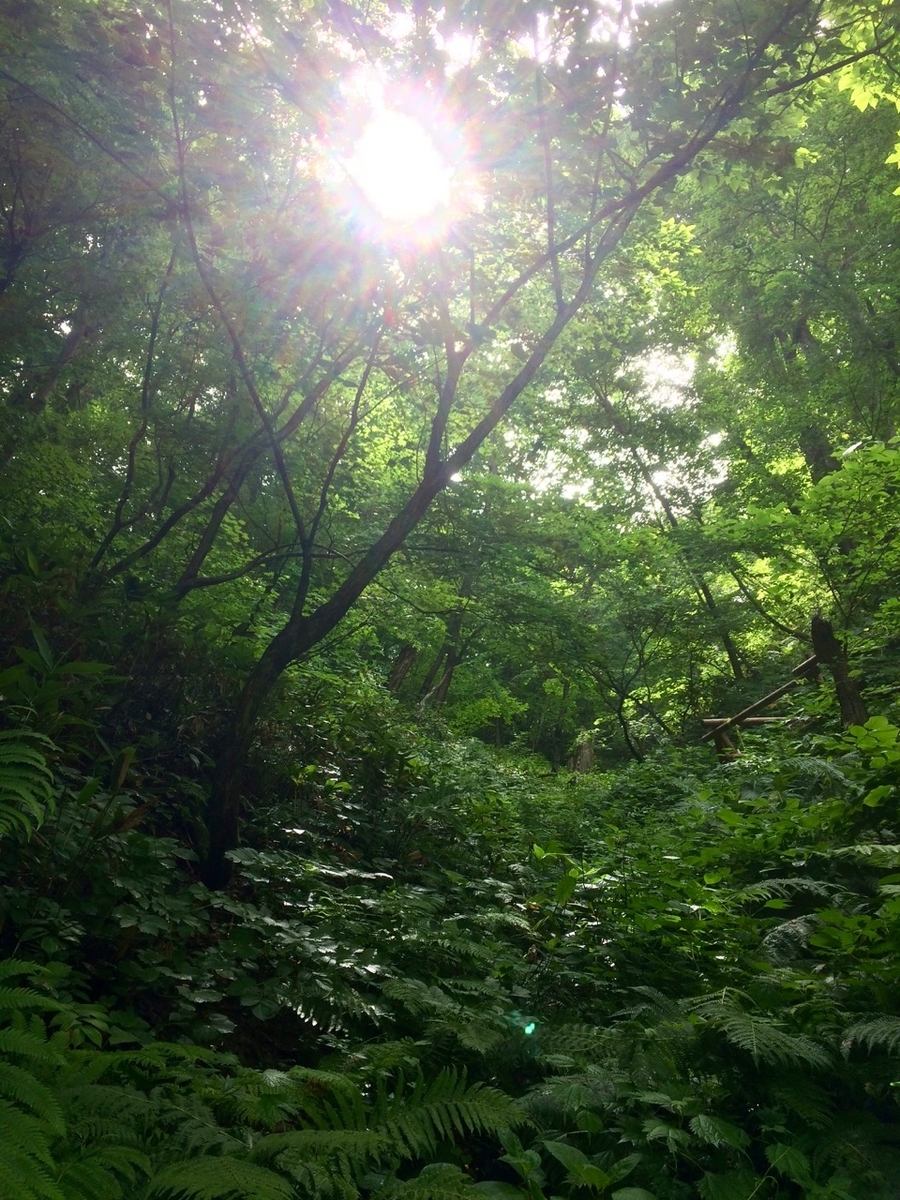 f:id:besmart-chari:20190714232638j:plain