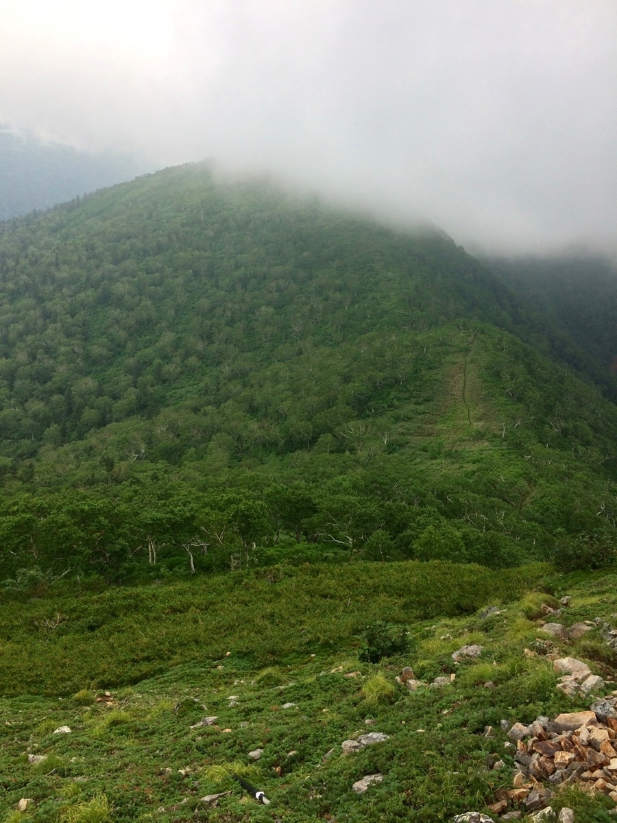 f:id:besmart-chari:20190803235838j:plain