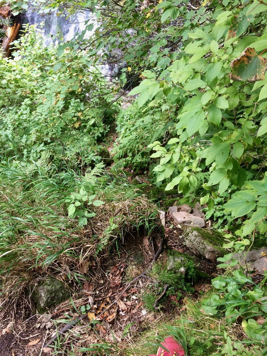f:id:besmart-chari:20190916204202j:plain