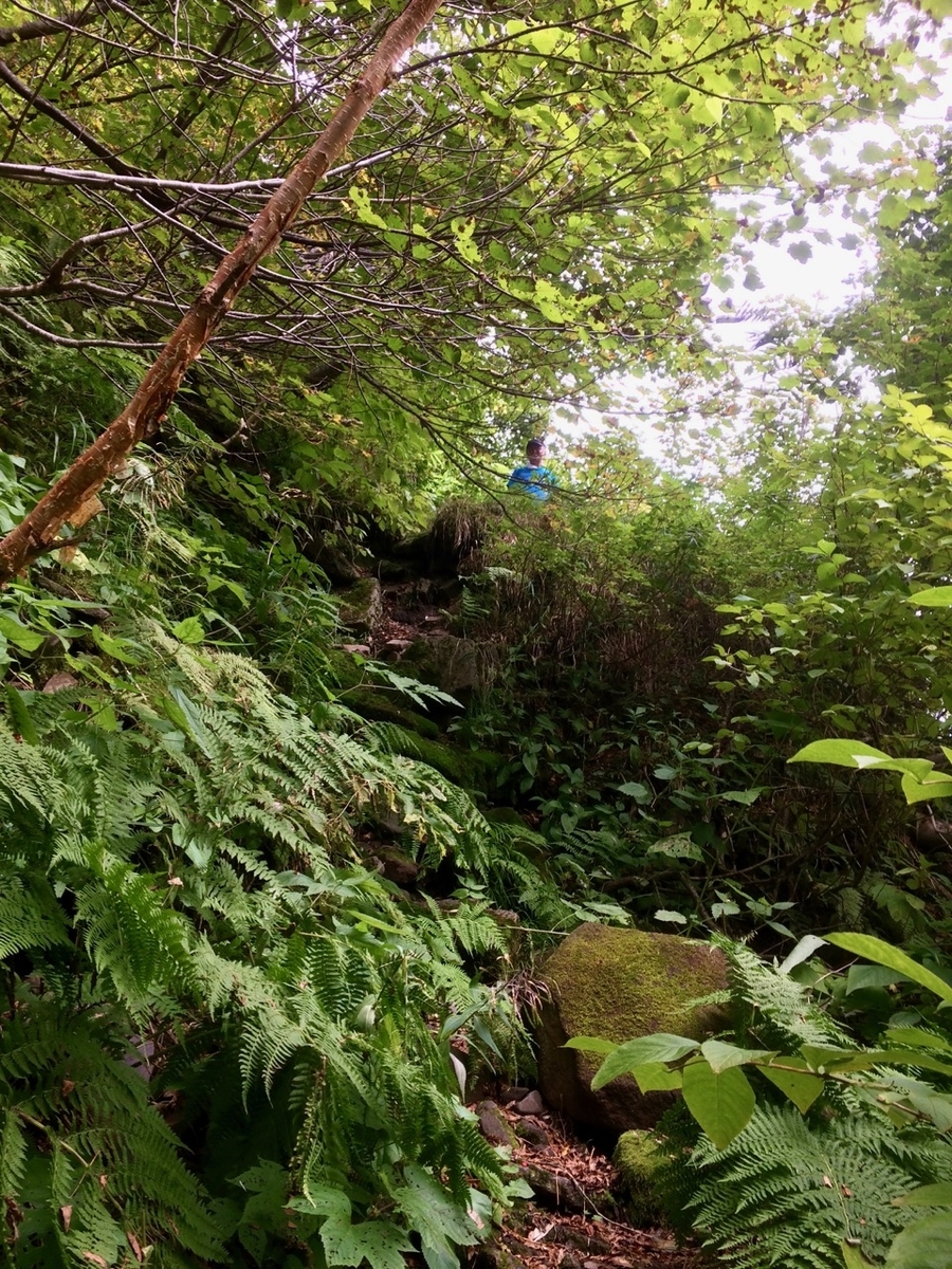 f:id:besmart-chari:20190916205324j:plain
