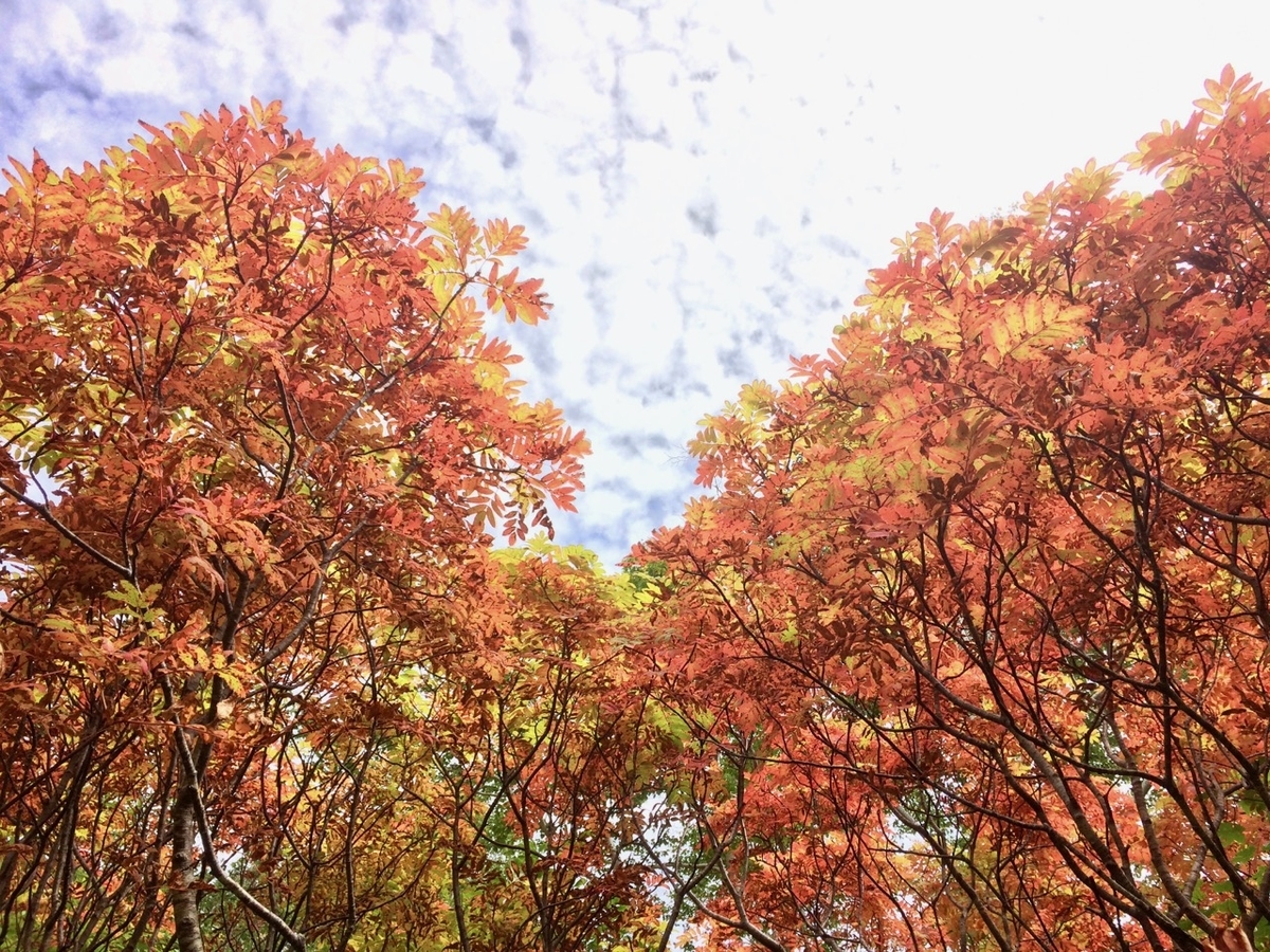 f:id:besmart-chari:20190916211654j:plain