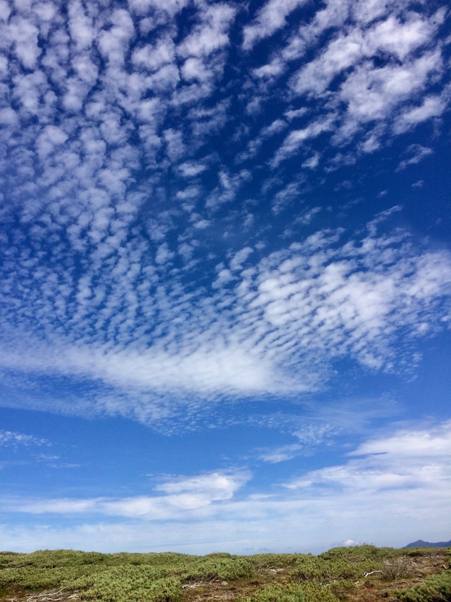 f:id:besmart-chari:20190916212313j:plain