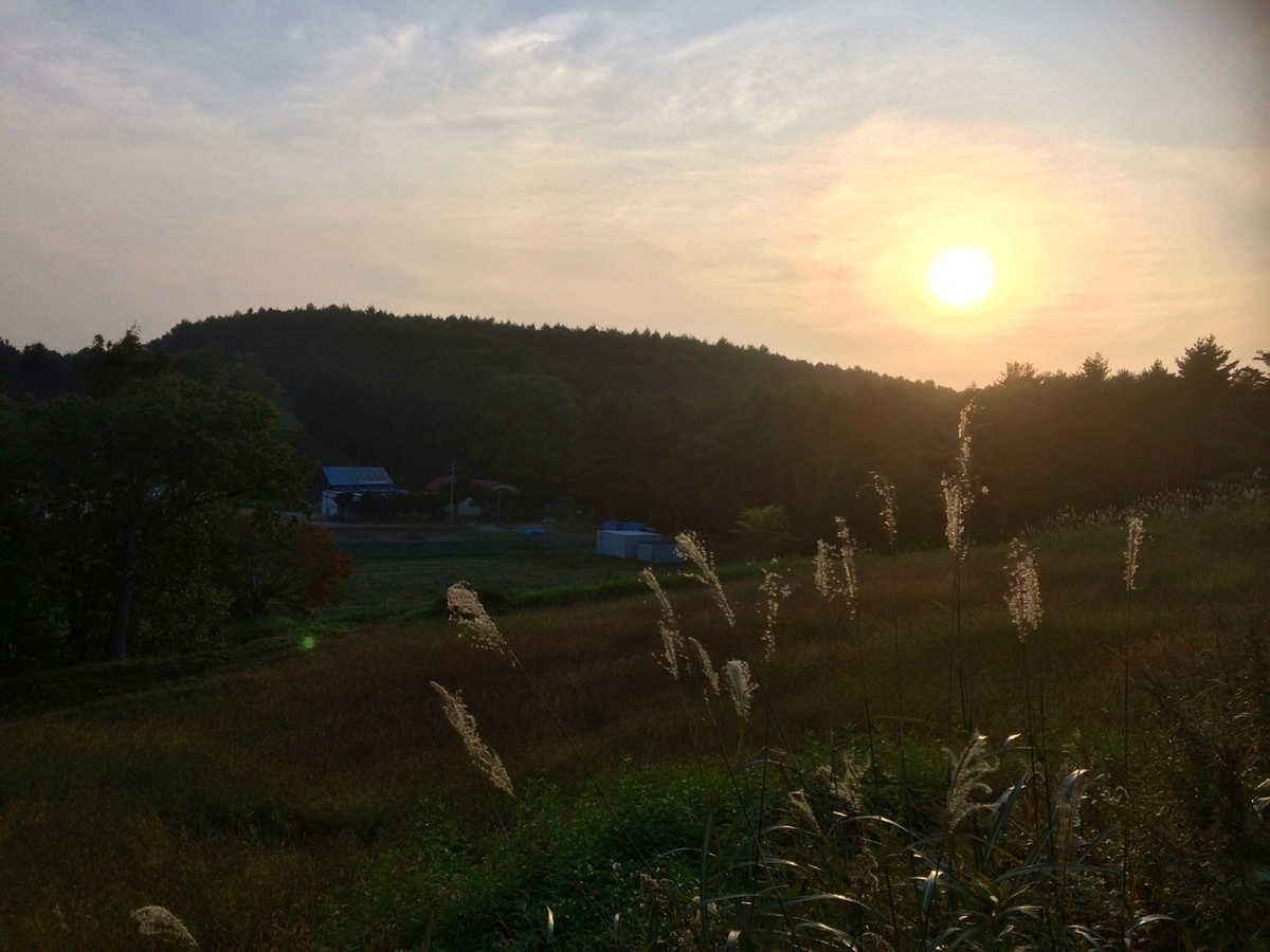 f:id:besmart-chari:20191003003747j:plain