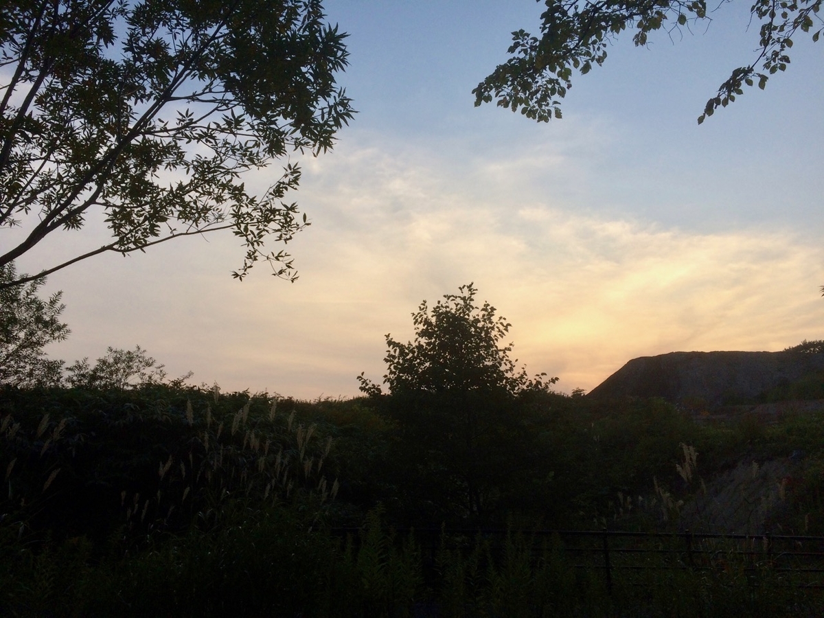 f:id:besmart-chari:20191003003840j:plain