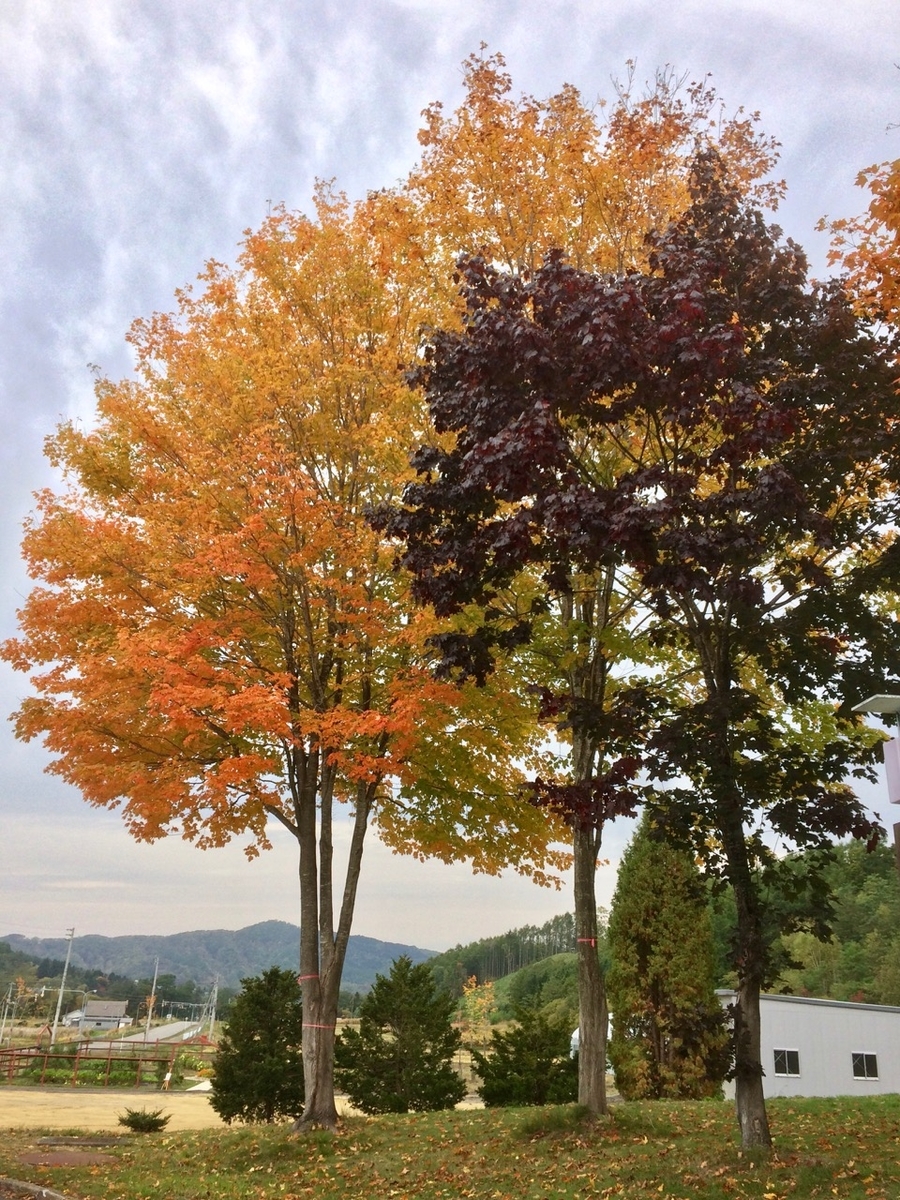 f:id:besmart-chari:20191015005859j:plain