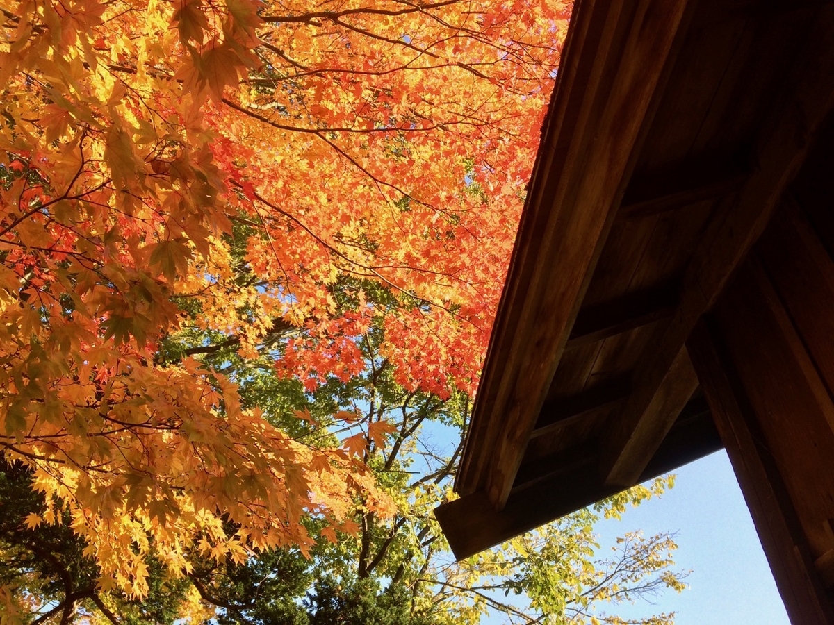f:id:besmart-chari:20191021004646j:plain