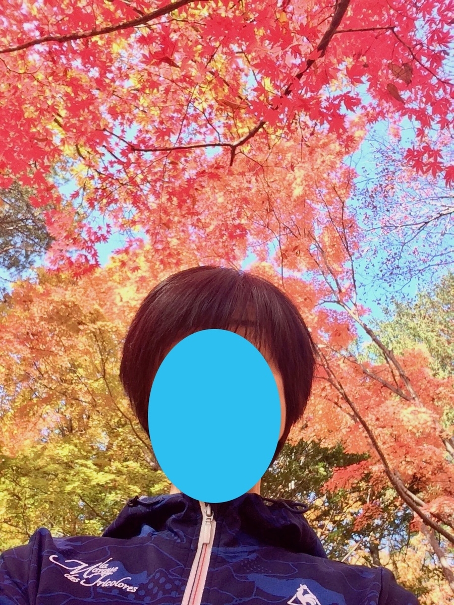 f:id:besmart-chari:20191028211739j:plain