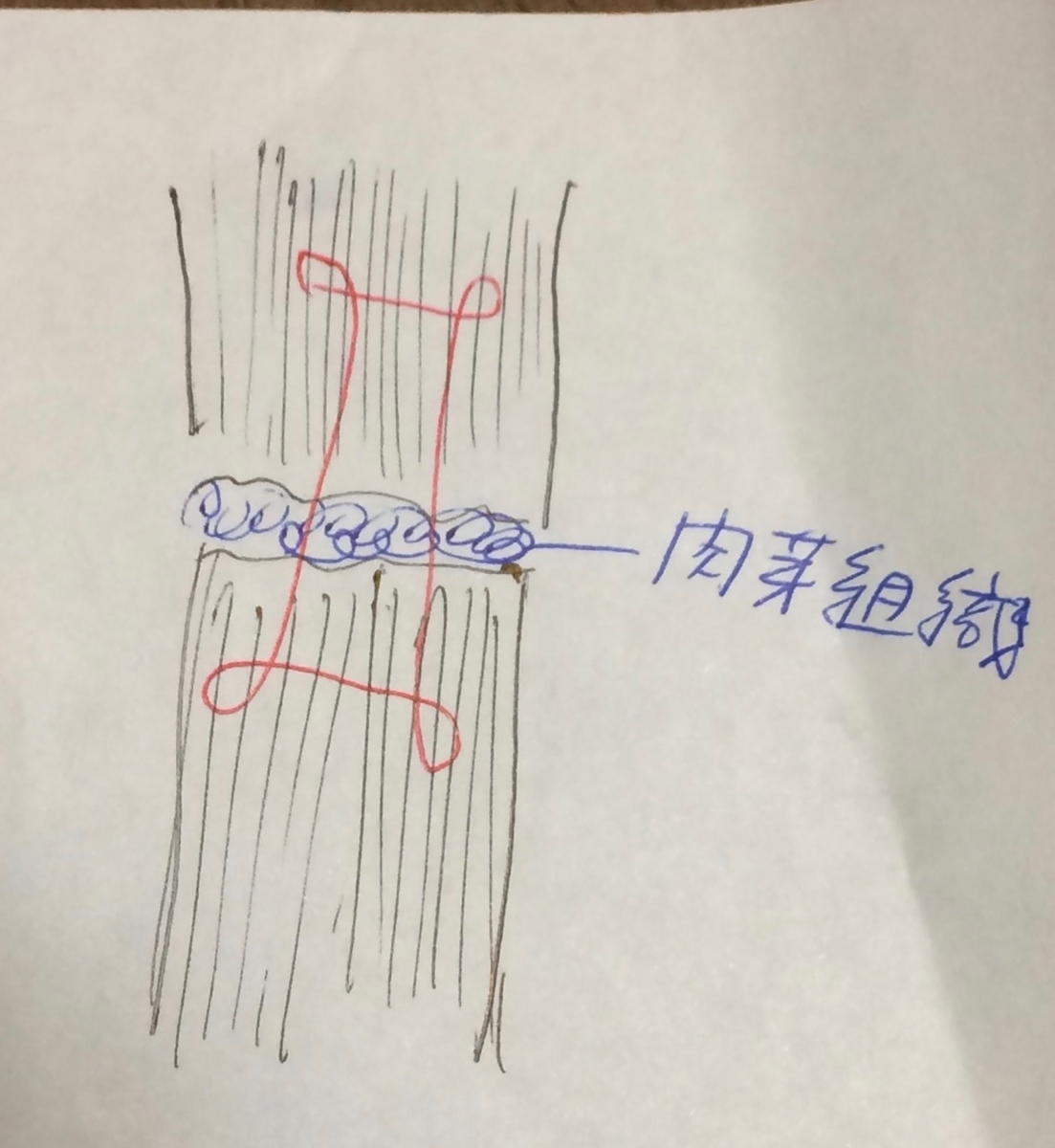 f:id:besmart-chari:20191031224804j:plain