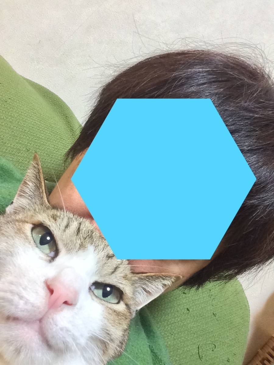 f:id:besmart-chari:20200222223920j:plain