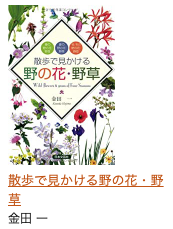 f:id:besmart-chari:20200614234501p:plain