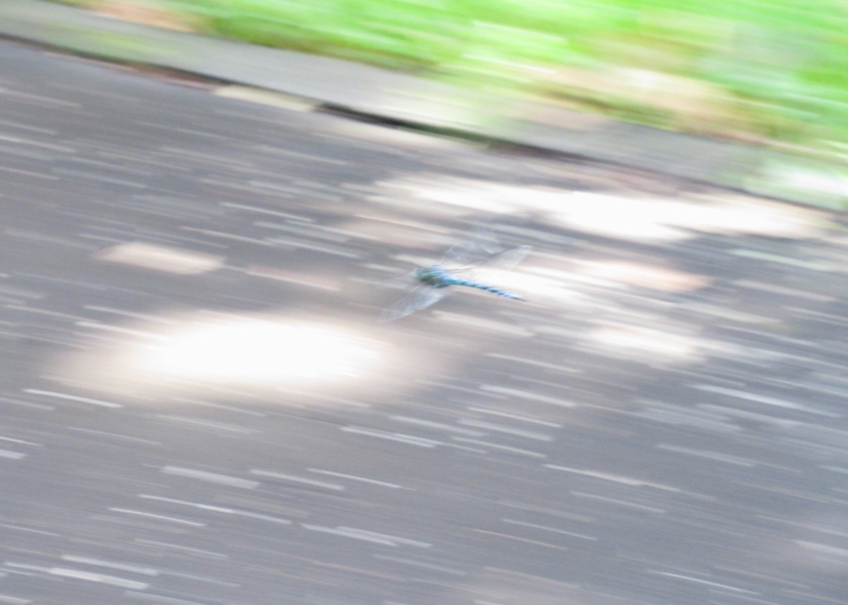 f:id:besmart-chari:20200812224245j:plain