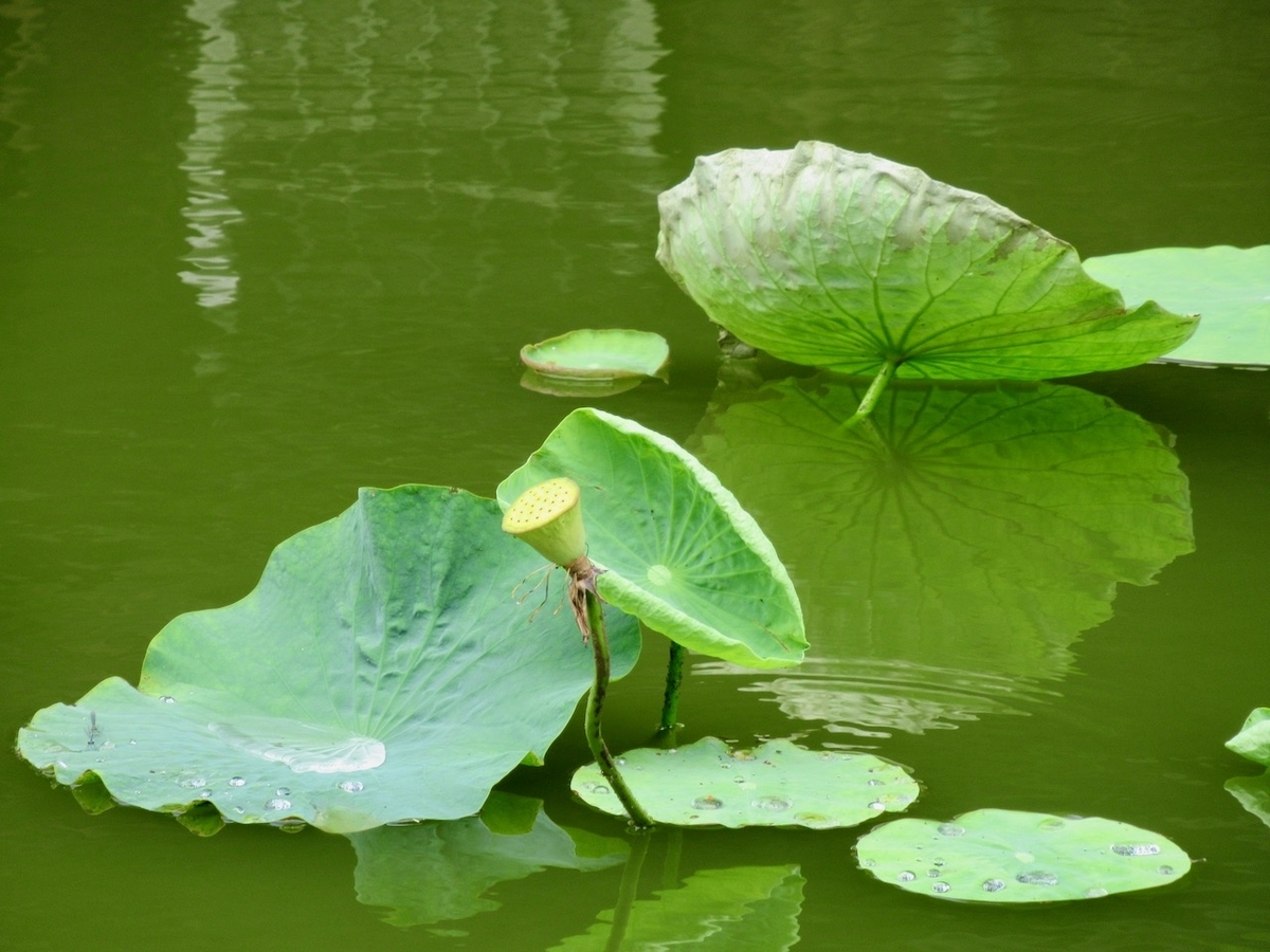 f:id:besmart-chari:20200817223228j:plain