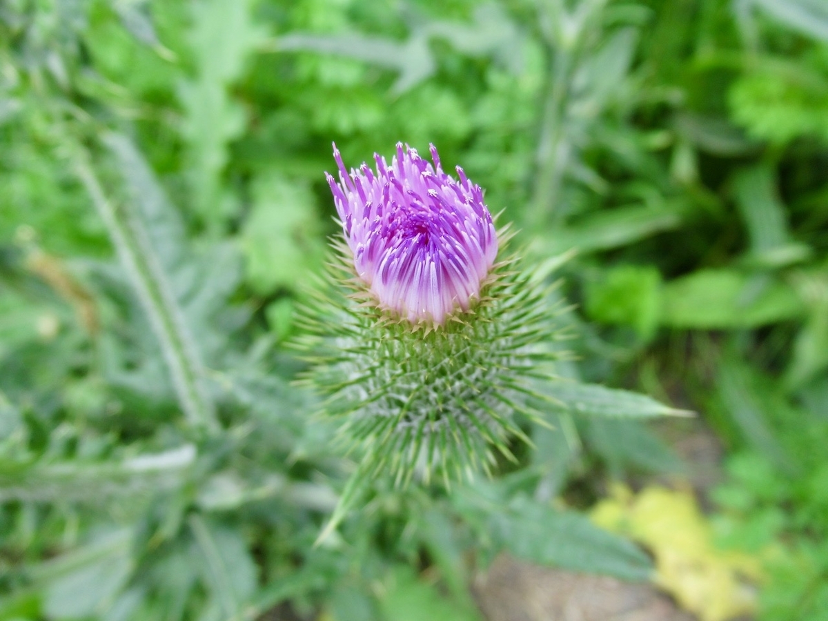 f:id:besmart-chari:20200821223303j:plain f:id:besmart-chari:20200821223303j:plain