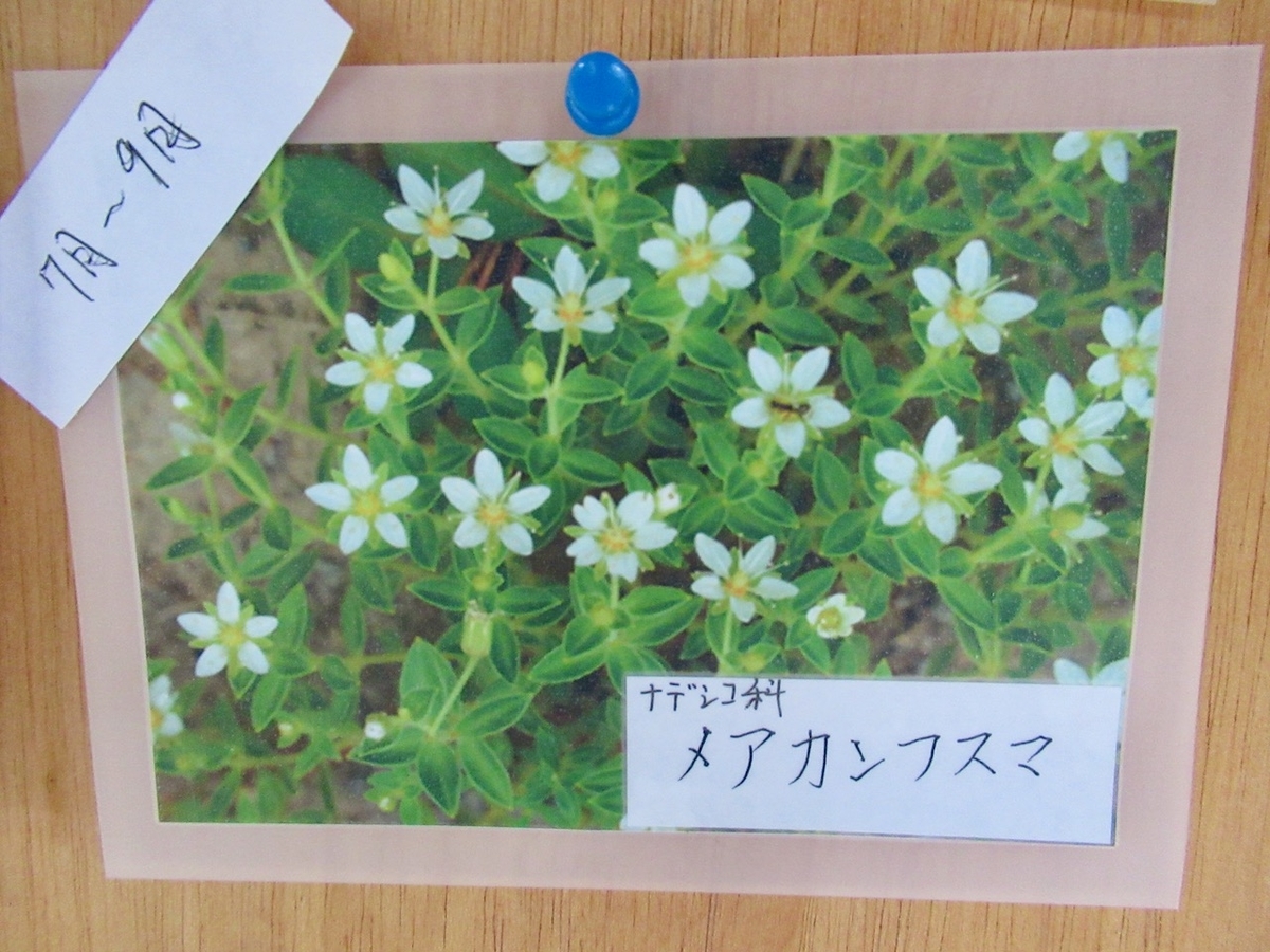 f:id:besmart-chari:20200824233056j:plain f:id:besmart-chari:20200824233056j:plain