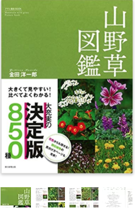 f:id:besmart-chari:20200826224447p:plain