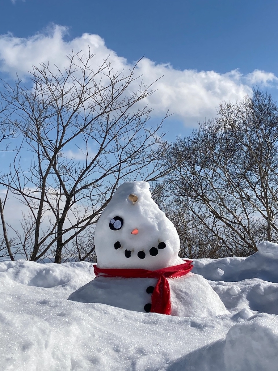 f:id:besmart-chari:20210202235200j:plain