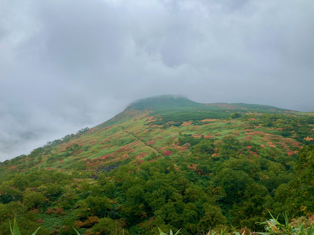 f:id:besmart-chari:20210917215246p:plain