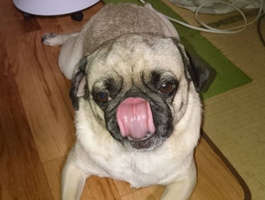 f:id:best-luck:20190902211254j:plain